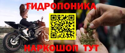 крисы Ангарск
