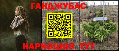 индика Анапа
