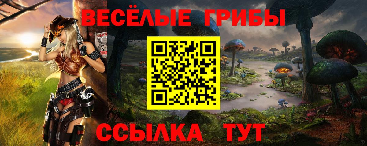 Галлюциногенные грибы MAGIC MUSHROOMS Костомукша